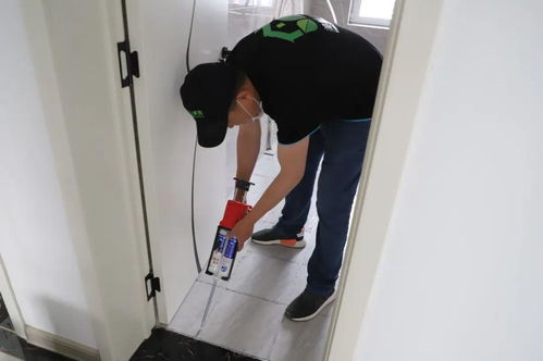 專業家政，品質保障——莒縣美家美邦，您的貼心保潔專家