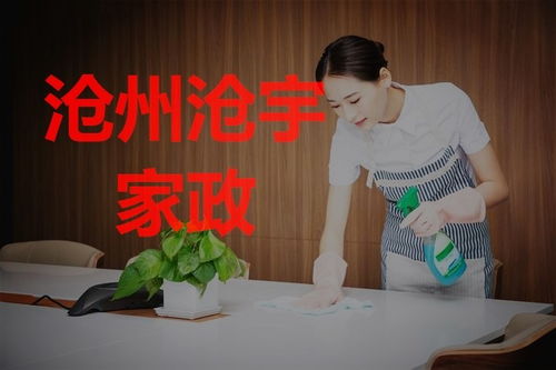 滄州搬家后房屋保潔指南 專業家政服務助您輕松安家